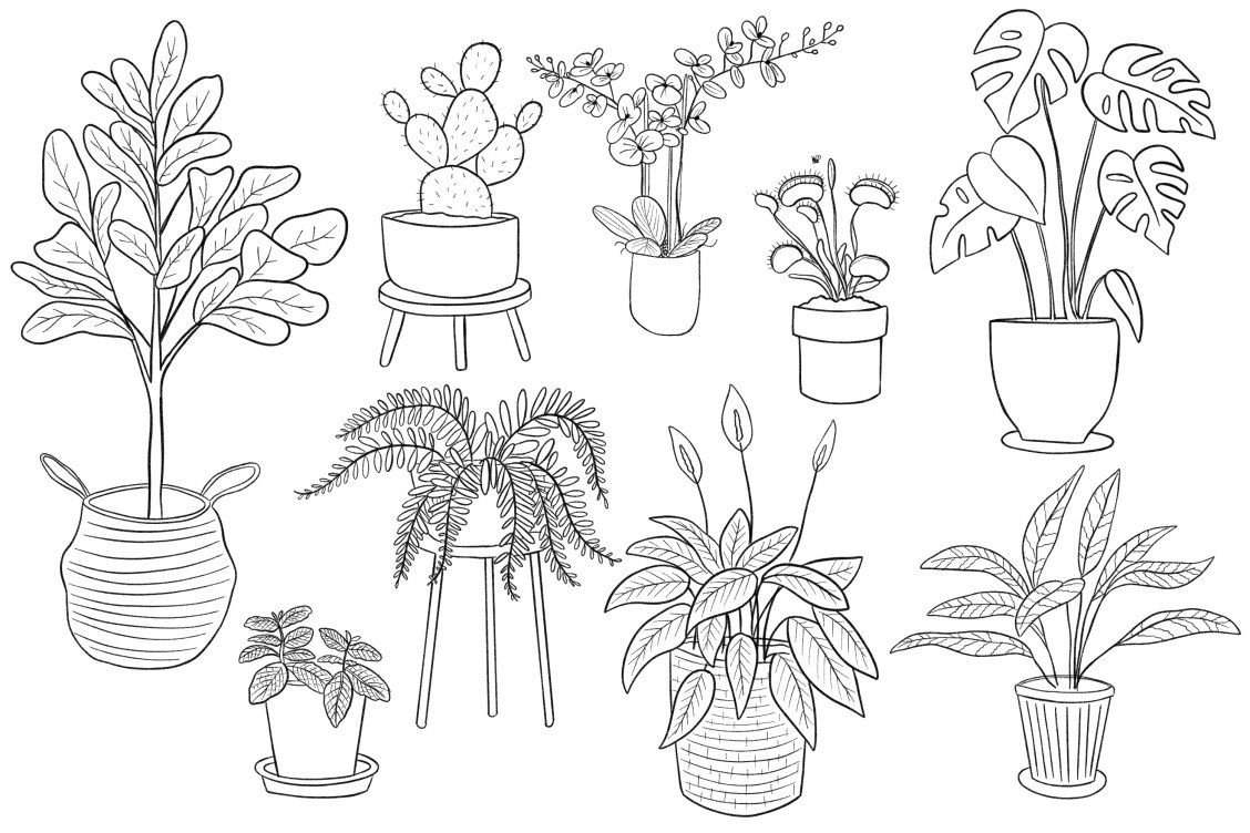 Картинки растений карандашом для срисовки