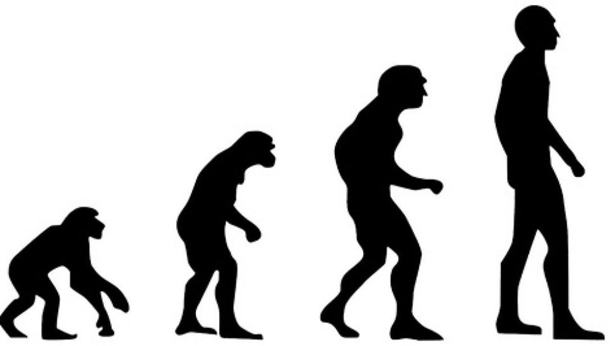 Эволюция Дарвина