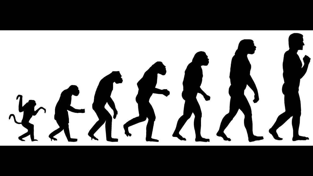 Эволюция видна. Эволюция. Эволюция музыки. Music Evolution. Эволюция музыки и человека.