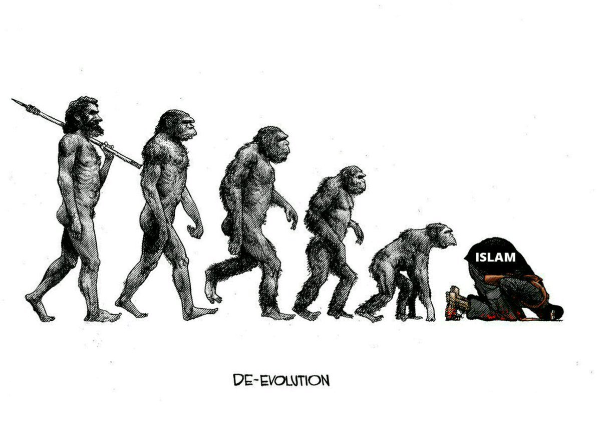 Эволюция рисунок