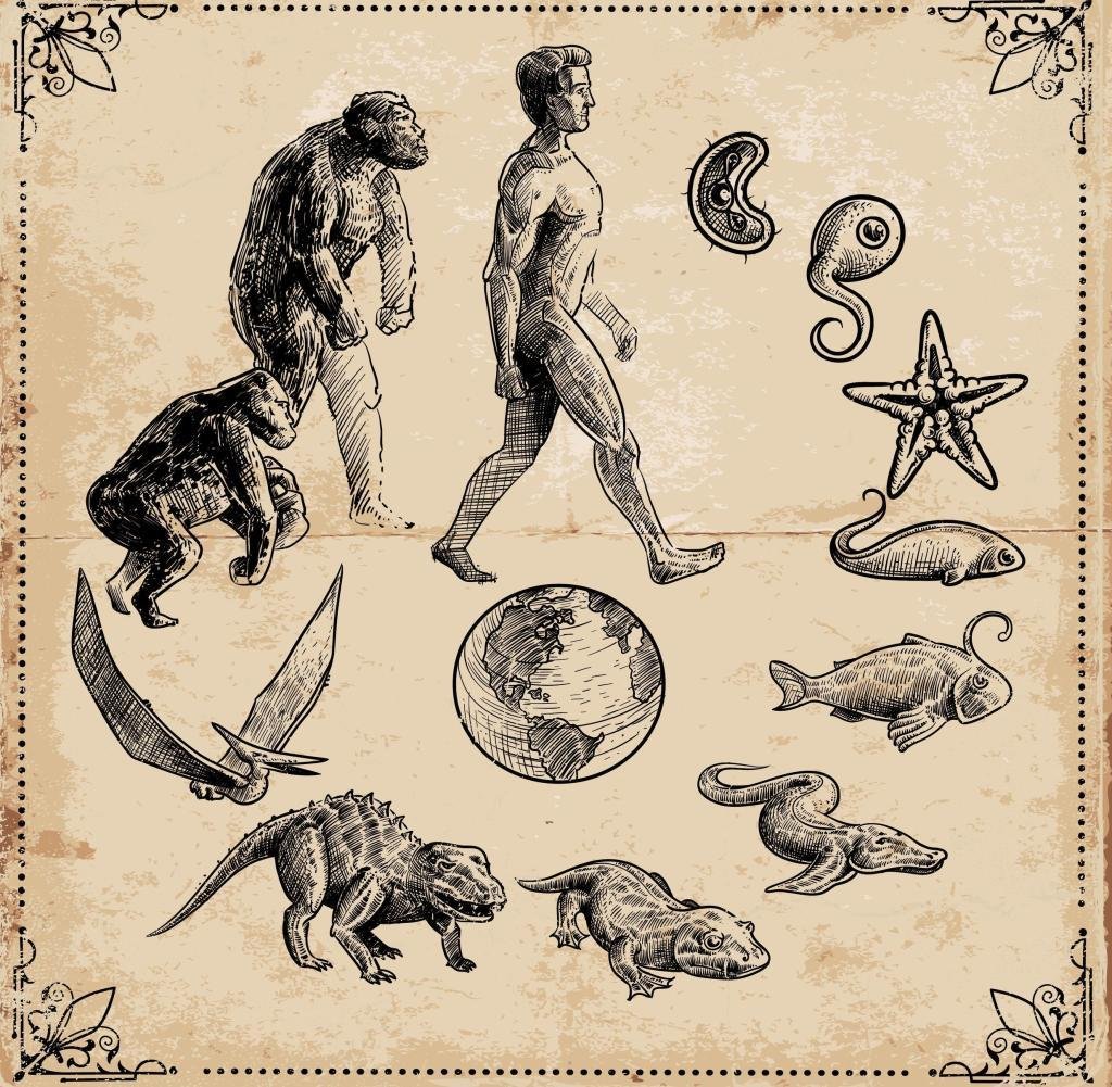 Теория эволюции Дарвина жизнь