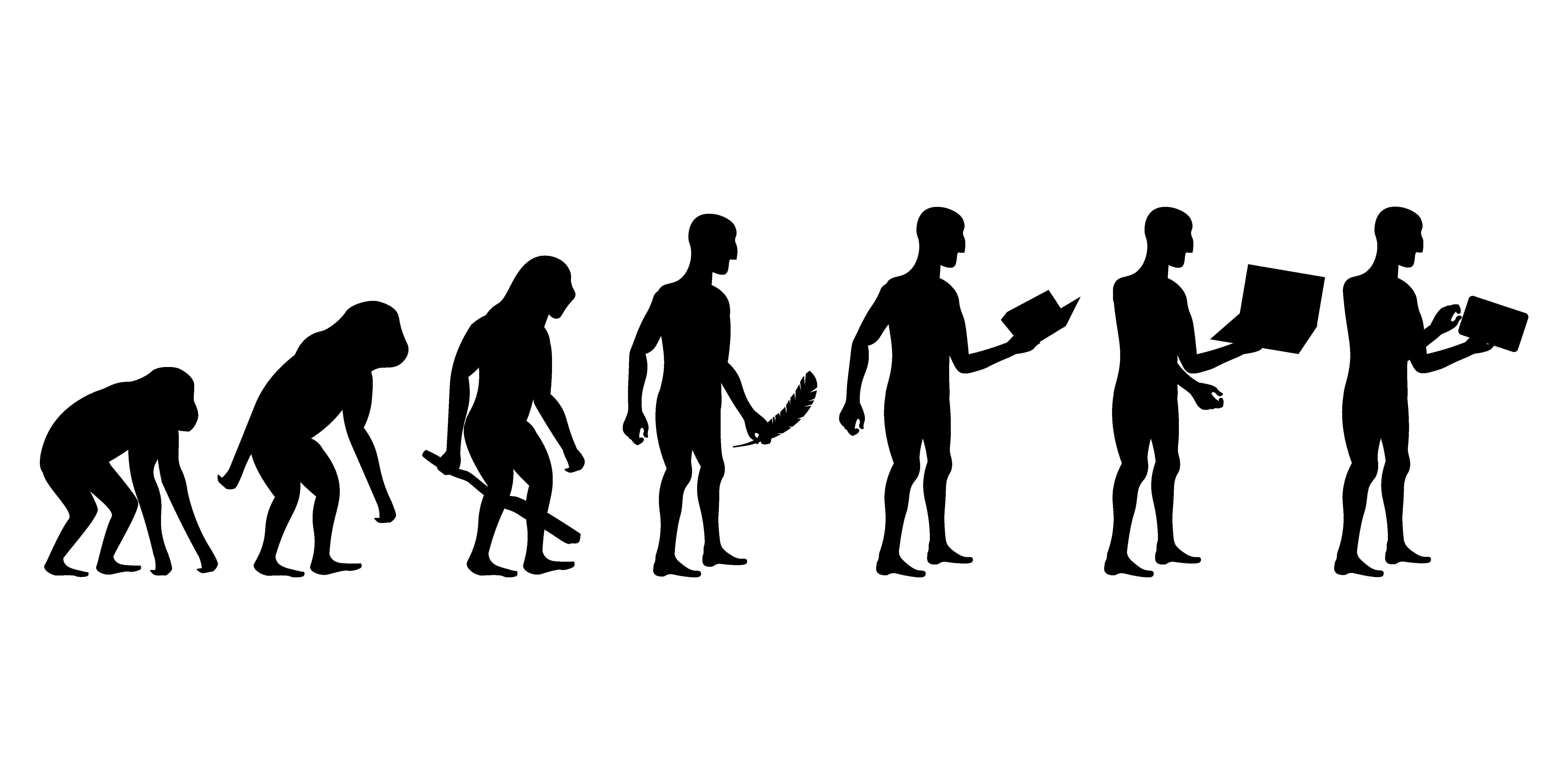 Human h. Эволюция человека. От обезьяны к человеку. Эволюция человека от обезьяны. Эволюция на белом фоне.
