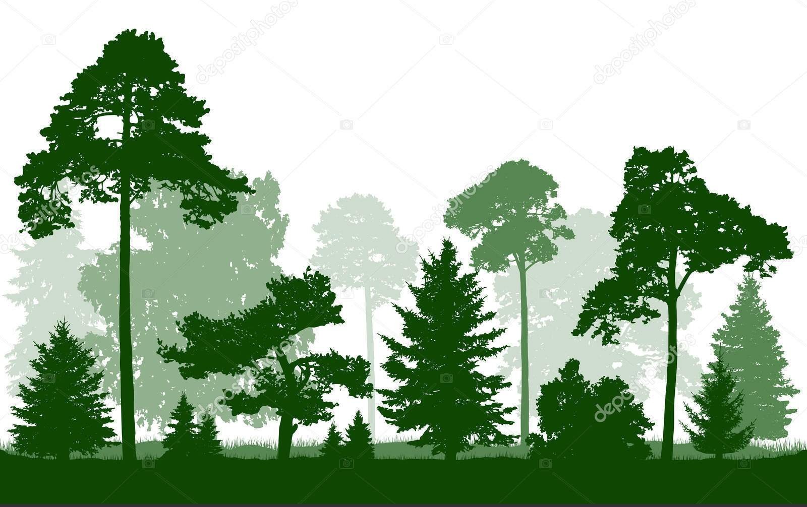 Векторная иллюстрация Сосновый лес