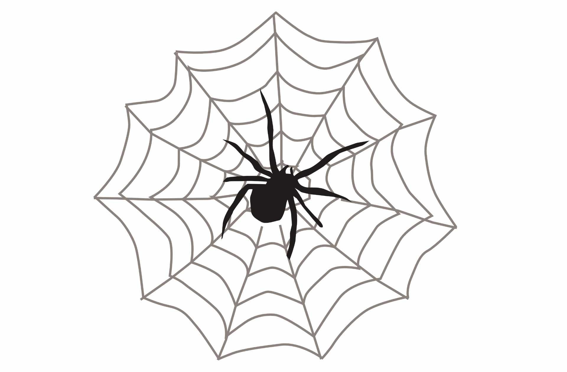 Паутина человека паука без паука. Паук и паутина для детей. Паук черно белый. Паутина рисунок. Паук на паутине рисунок.