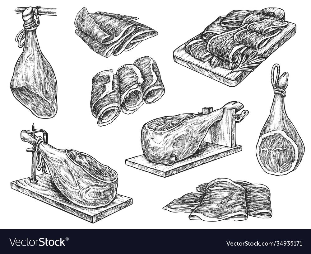 Хамон рисунок