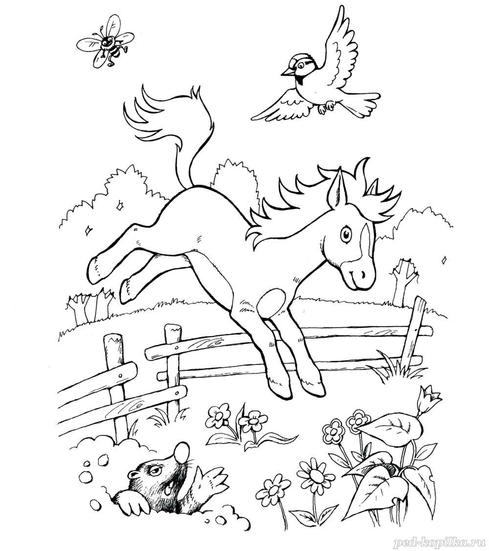 Лошади на лугу раскраска