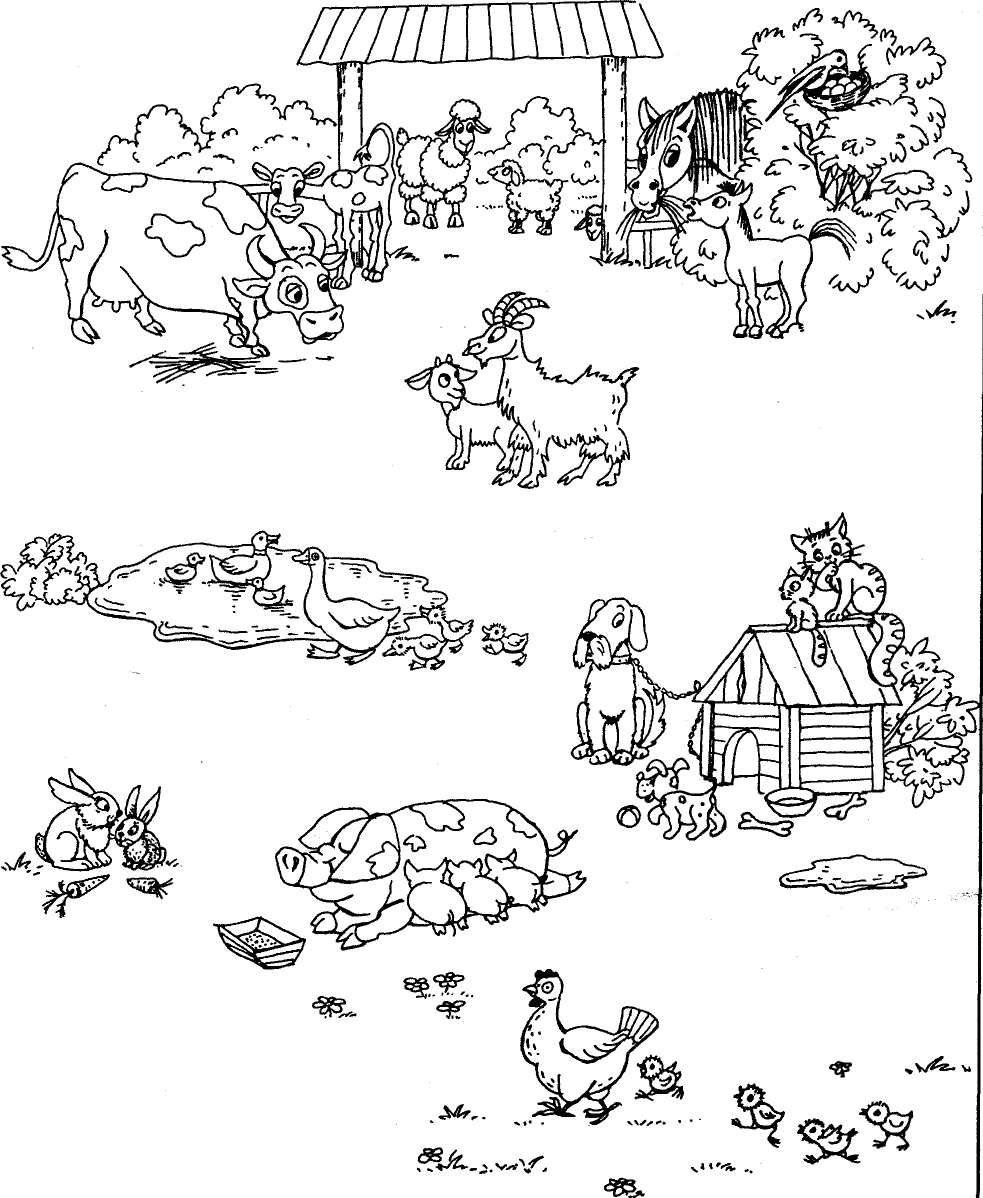 Раскраски небылицы для детей