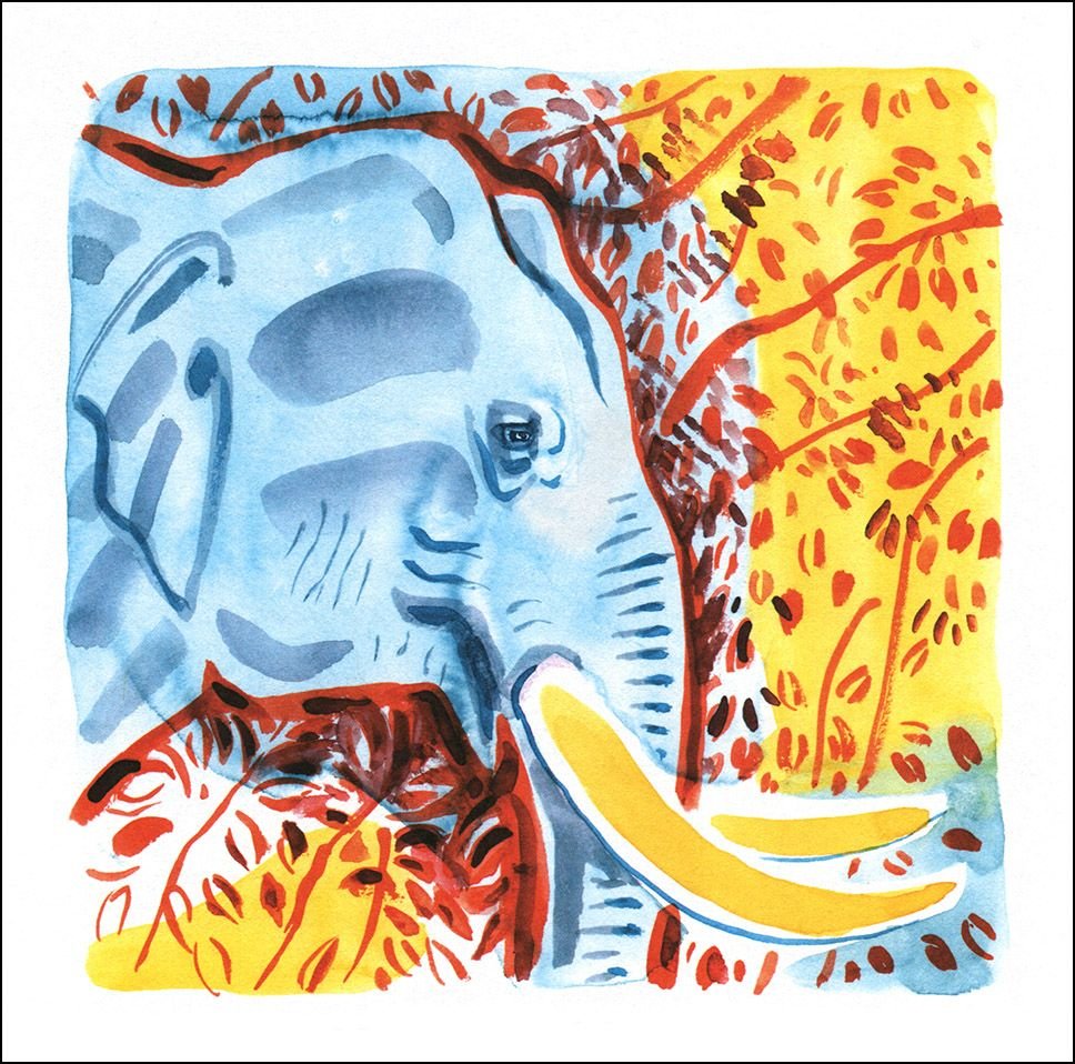 Митурич май Петрович