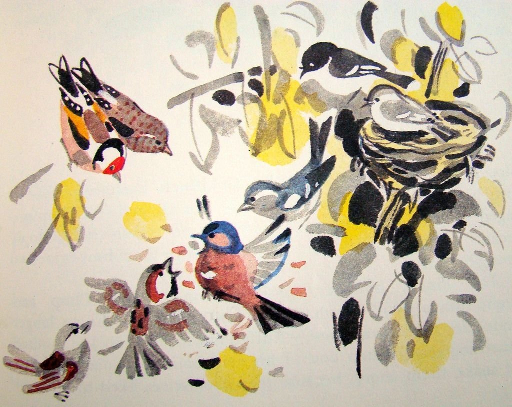 Май Митурич животных рисунки