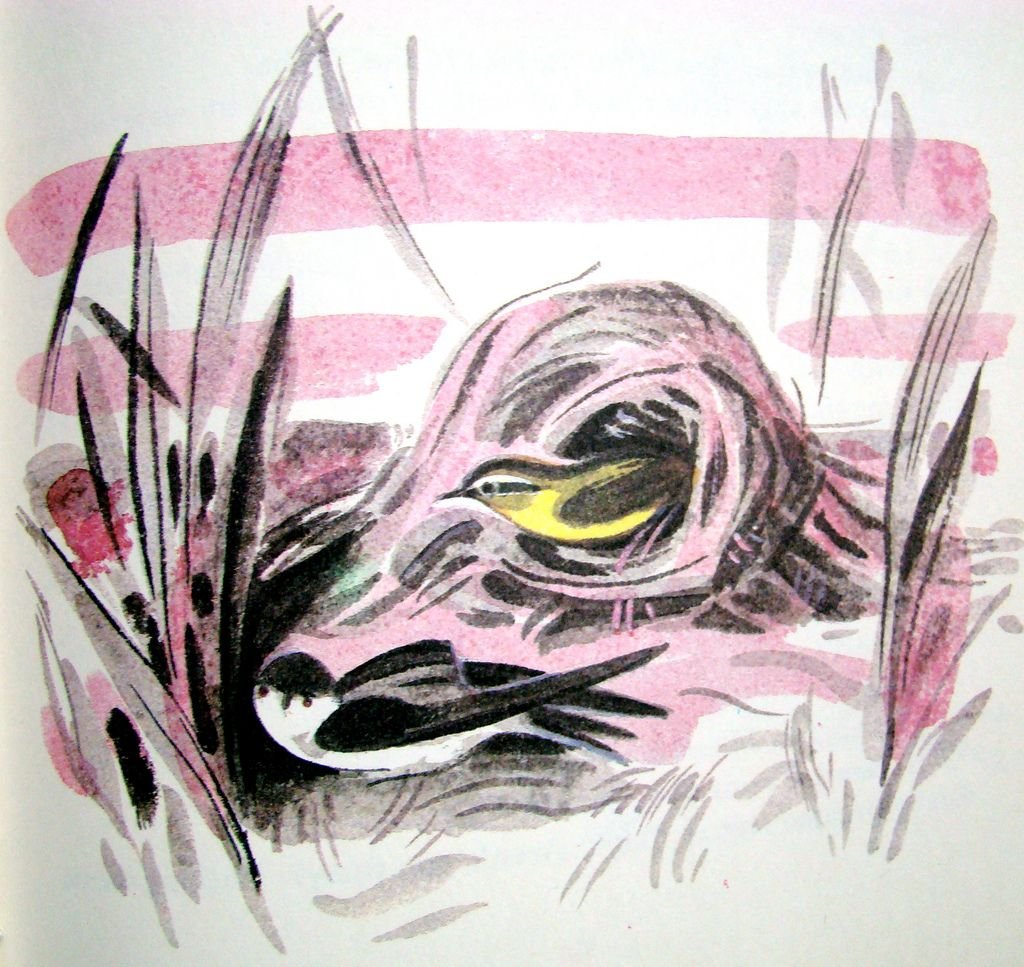 Барто Лебединое горе