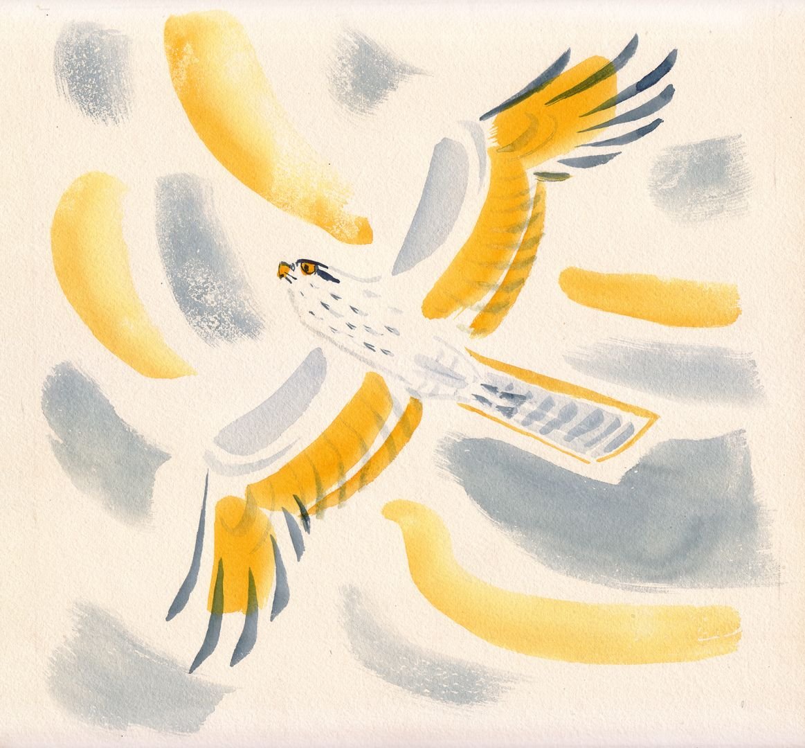 Май Митурич