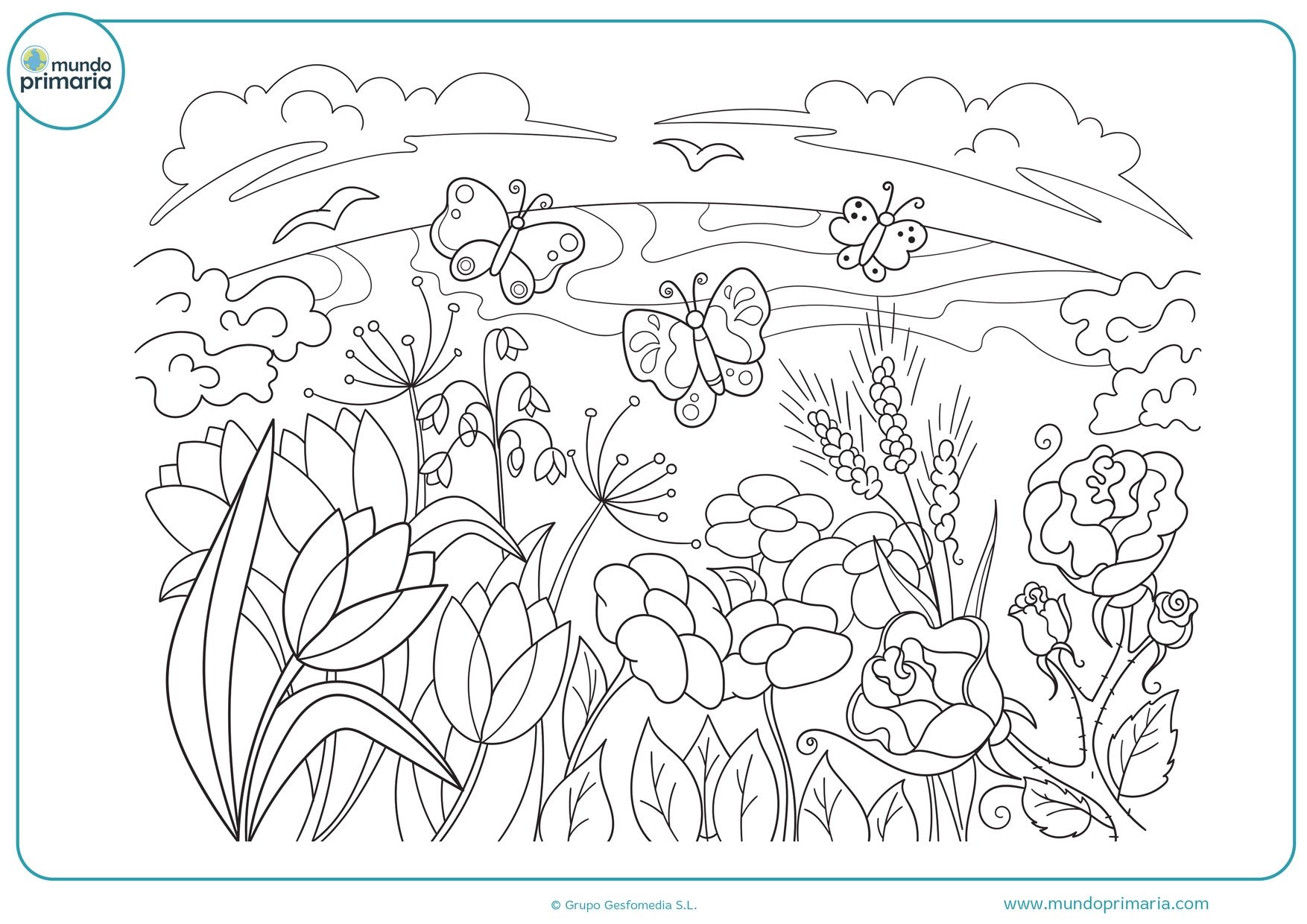 Раскраска Поляна с цветами