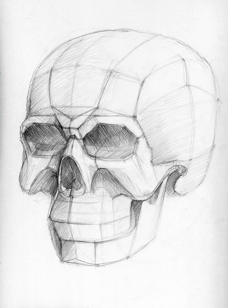 Рисунки черепов карандашом