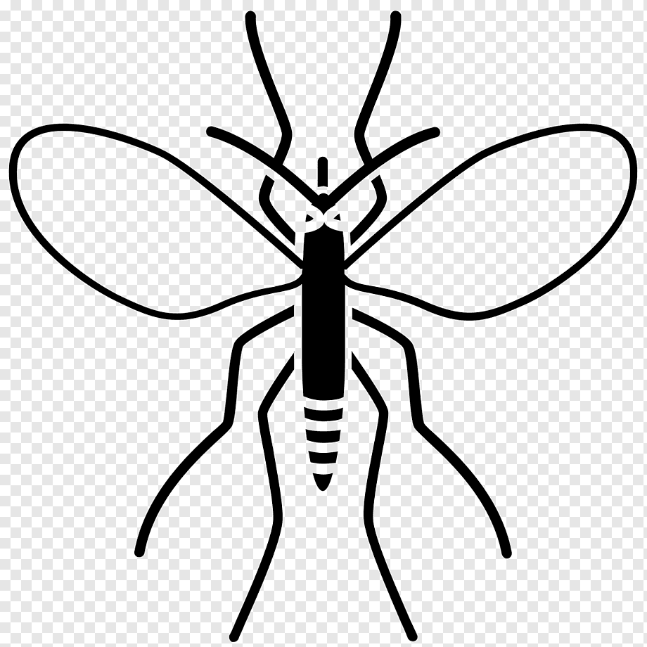 Москит рисунок