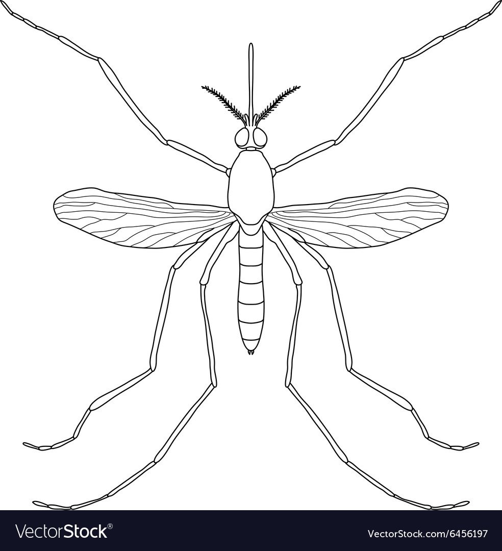 Комар карандашом легко