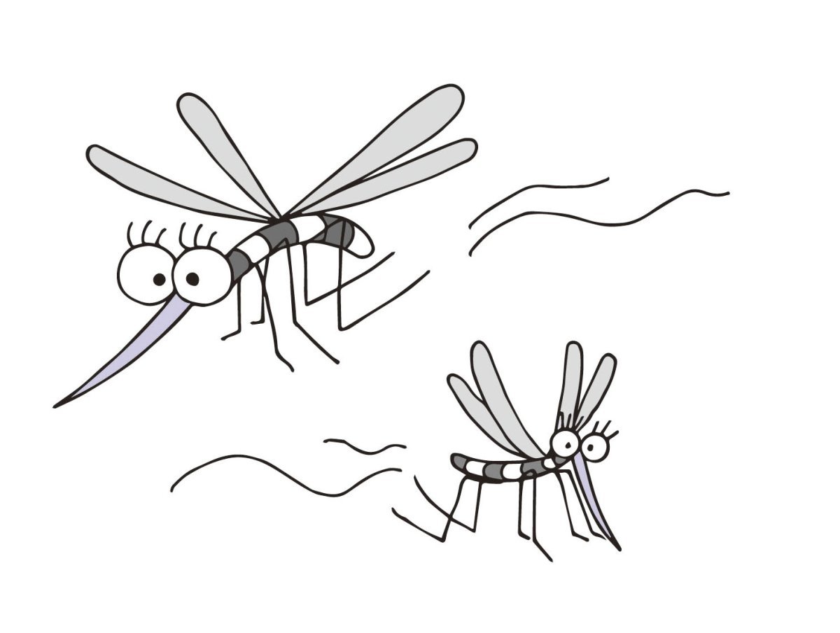 Комар рисунок для детей