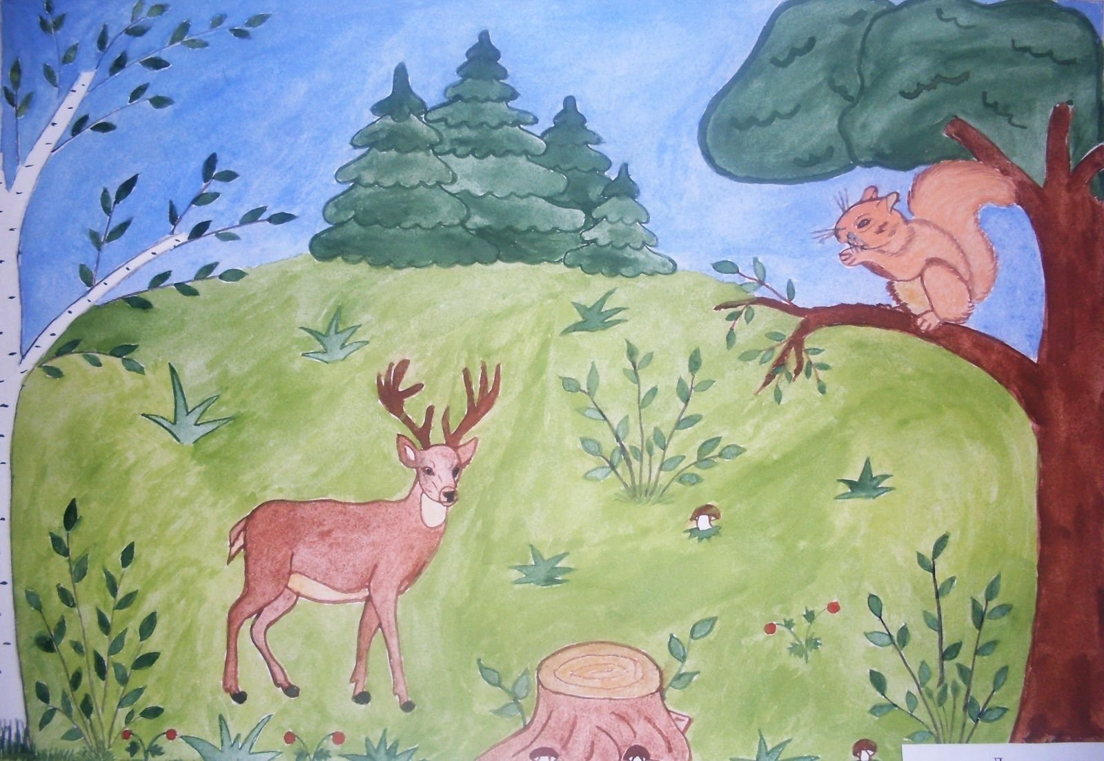 Конкурсы животный мир. Рисунок леса. Рисунок на тему лес. Детские рисунки лес. Природа рисунок для детей.