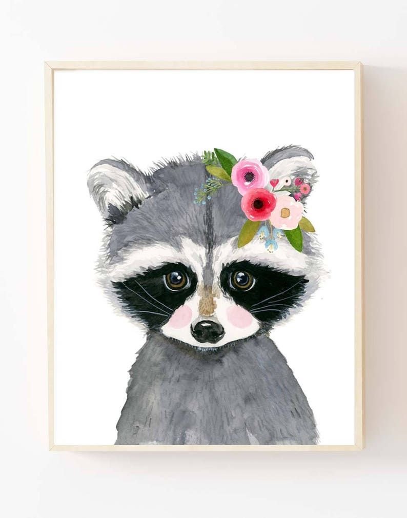 Енот для рисования