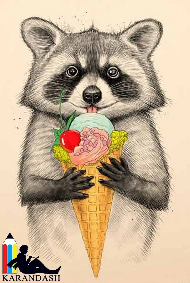 Нарисовать енота