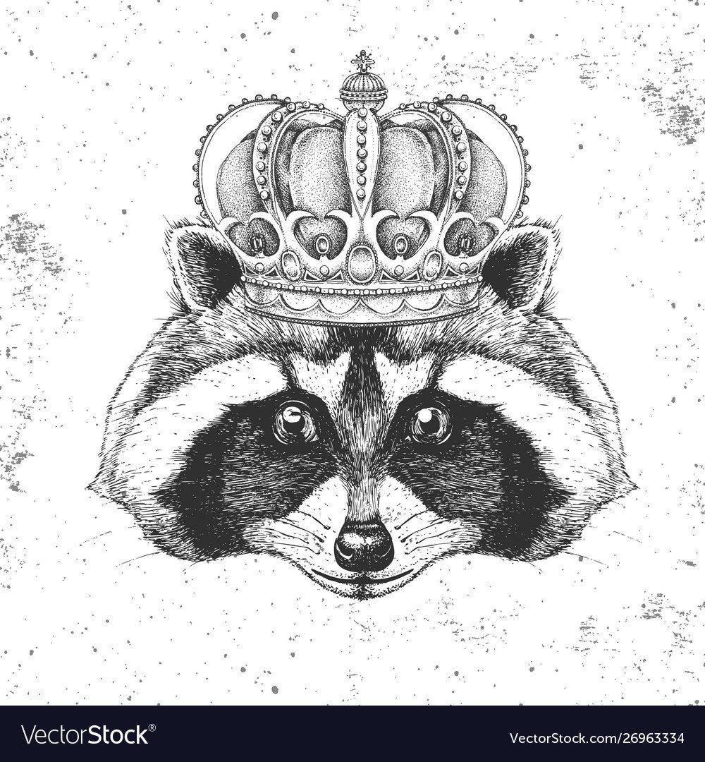 Енот Викинг