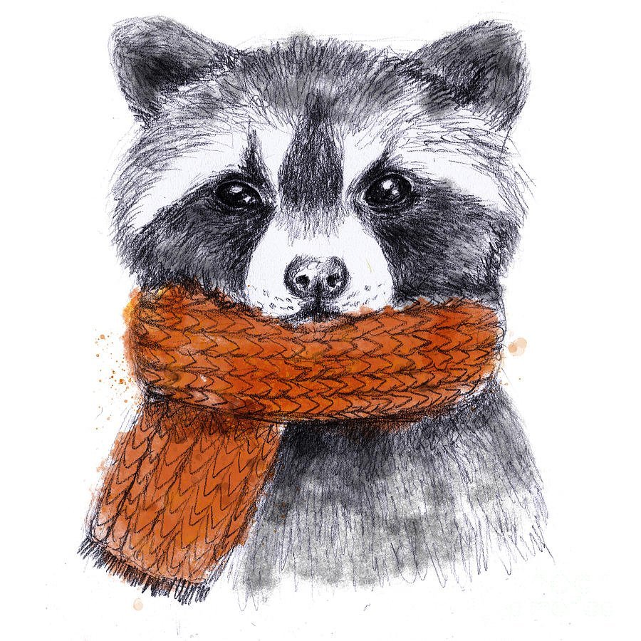 Милый енот арт