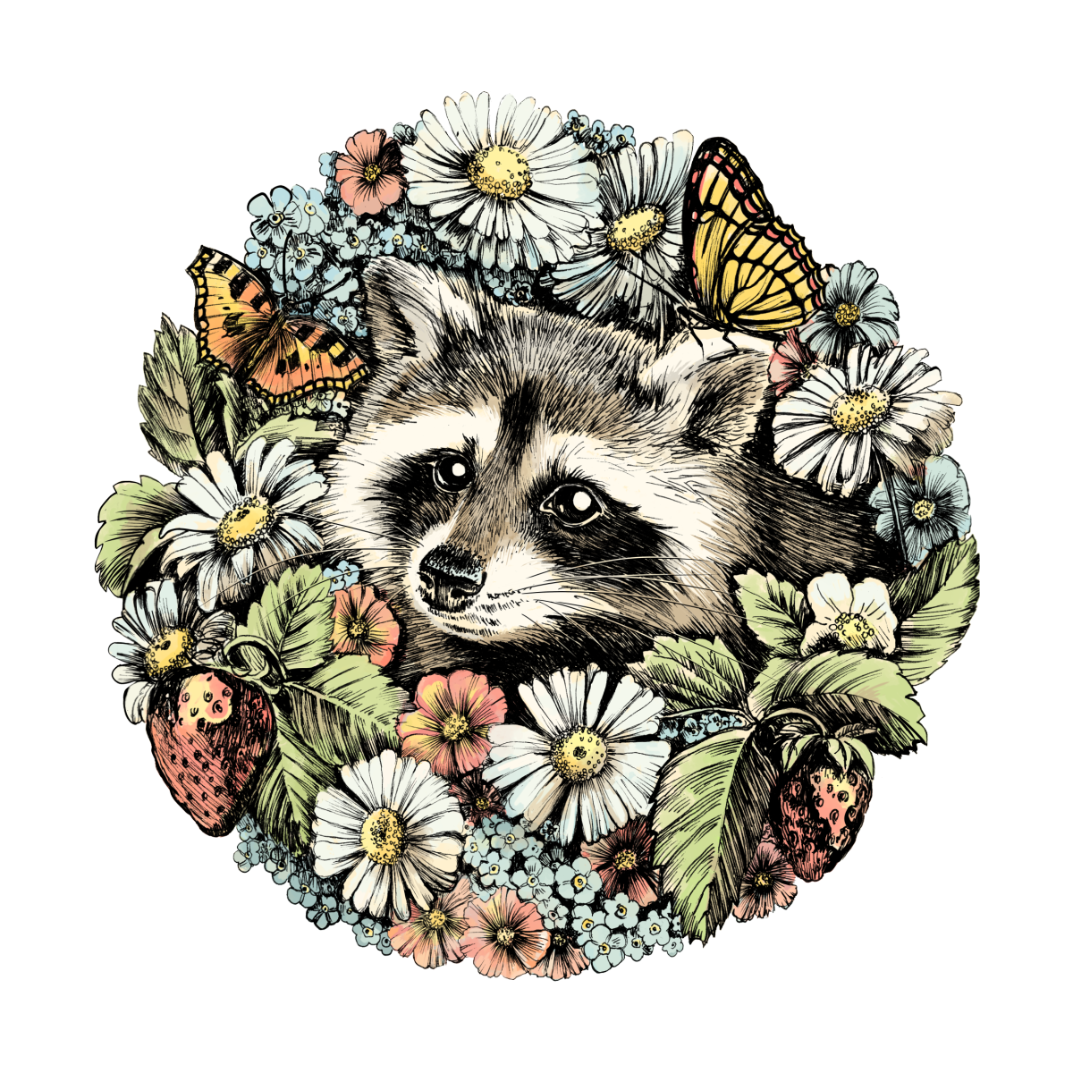 Енот рисунок