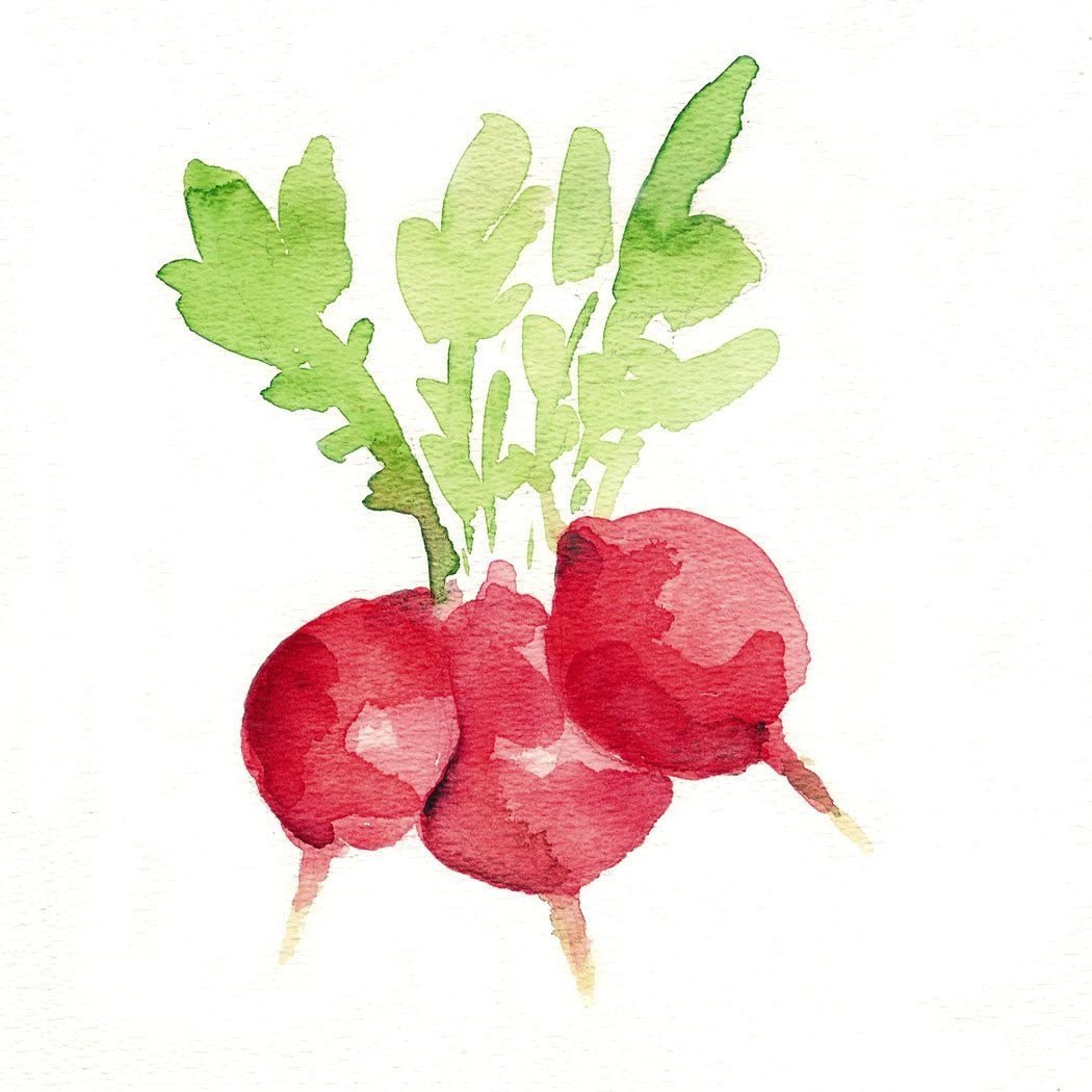 Редиска логотип