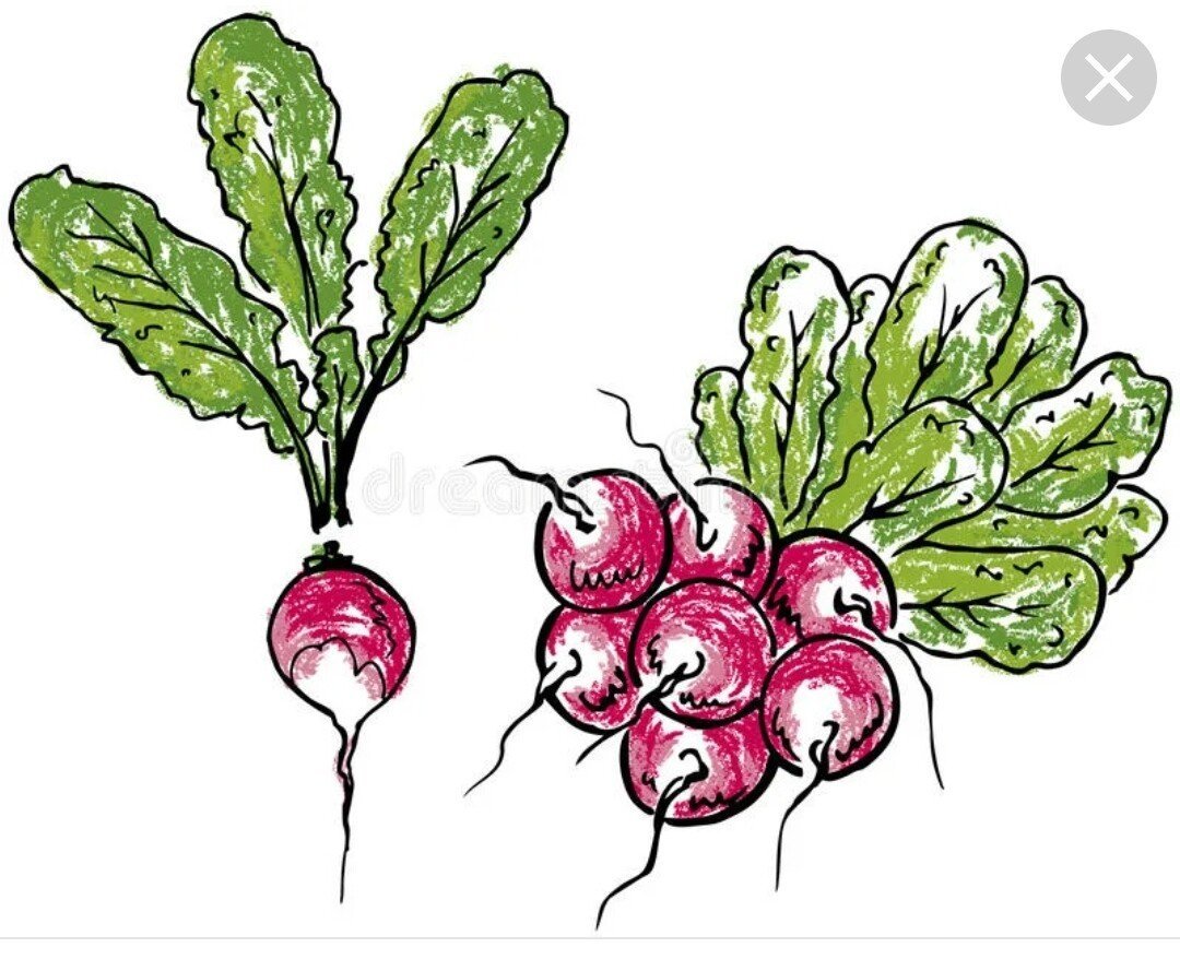 Редис мультяшный