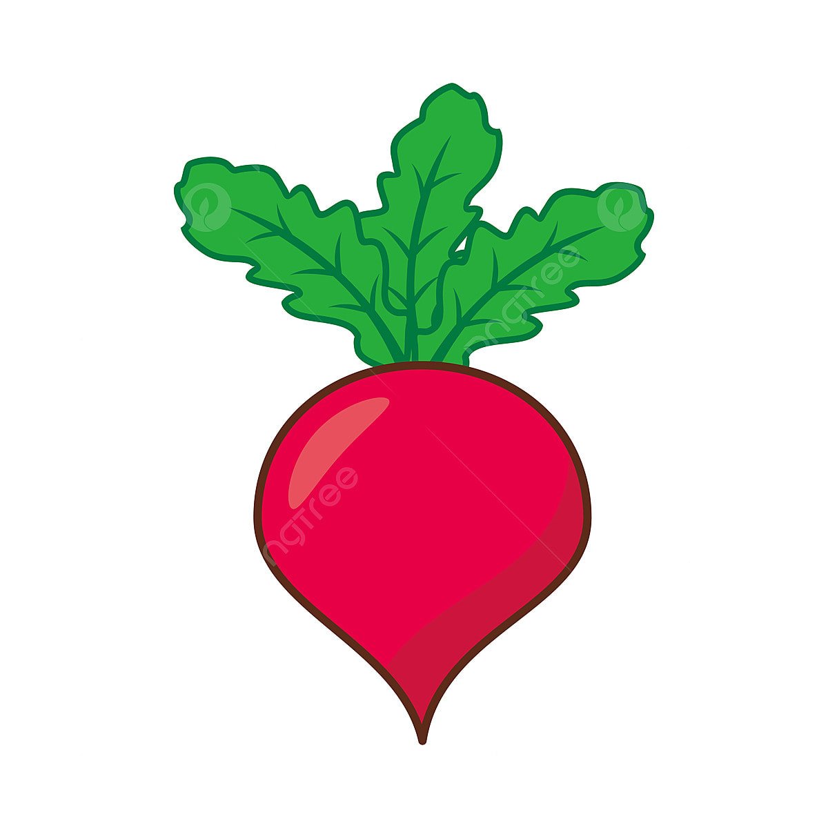 Редиска скетч