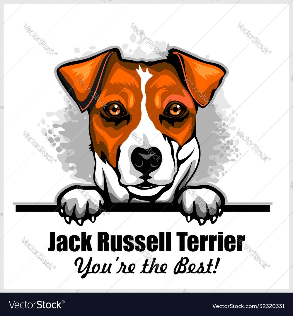 Джек Рассел рисунок прикольный