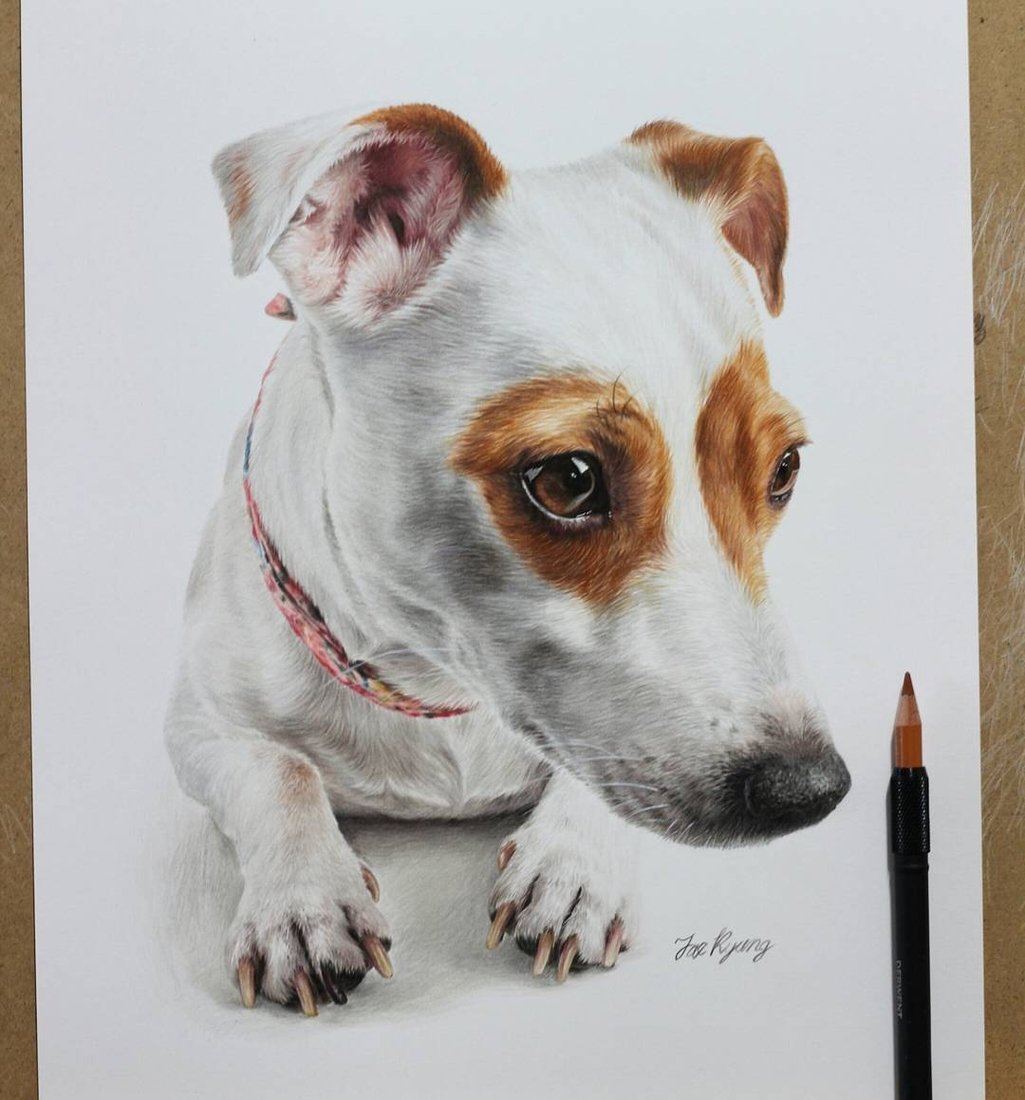 Рисунки цветными карандашами собаки маленькие