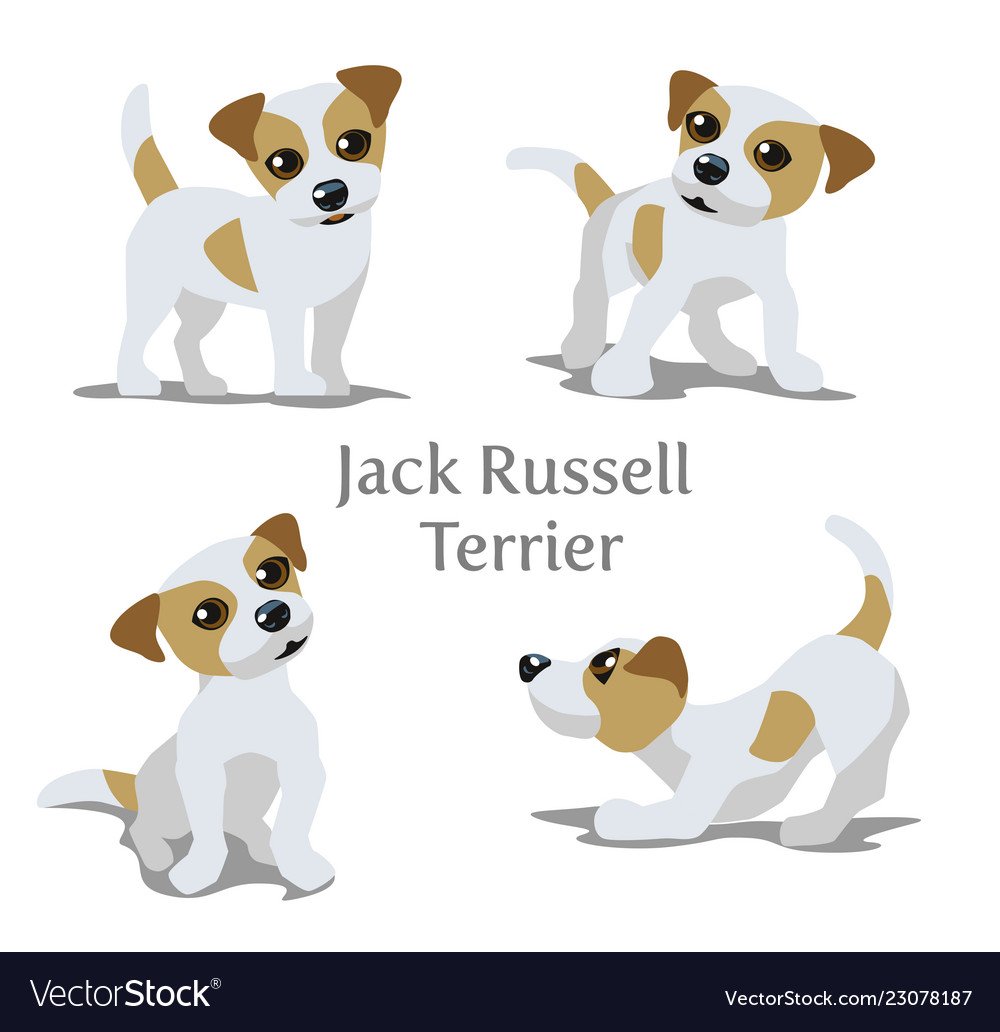 Джек Рассел терьер вектор