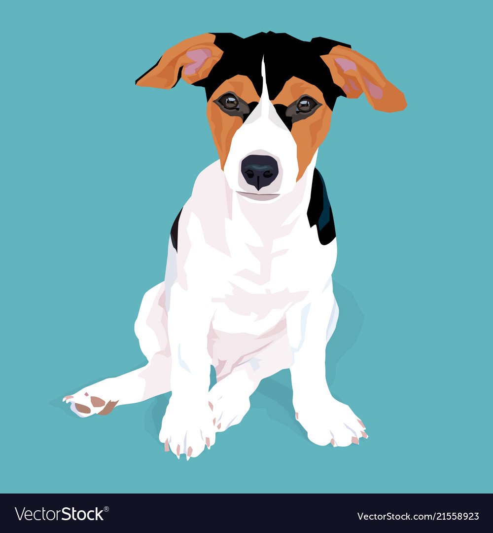 Джек Рассел на голубом фоне