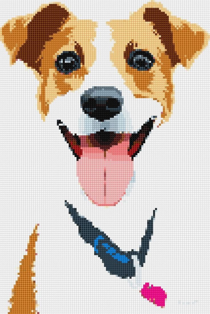 Джек Рассел