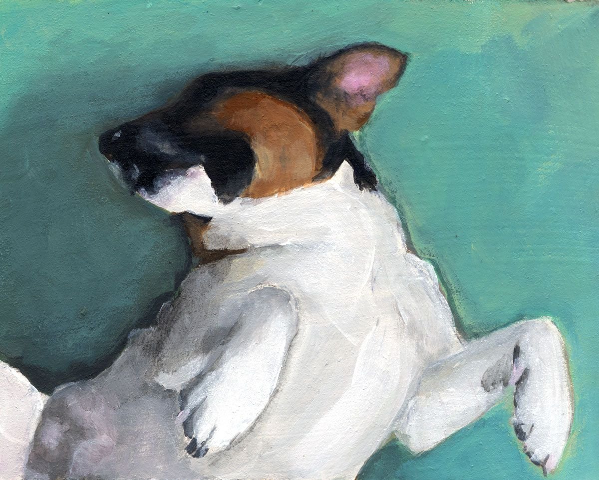 Джек рассел рисунок