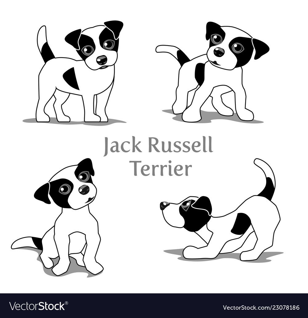 Джек Рассел терьер рисунок черно белый