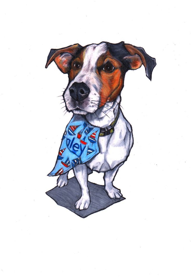 Джек Рассел терьер арт