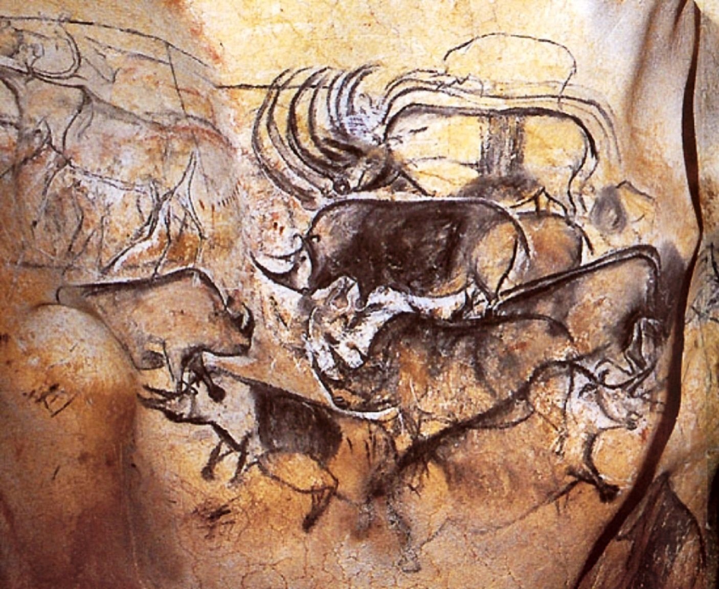 Шерстистый носорог в пещере Шове
