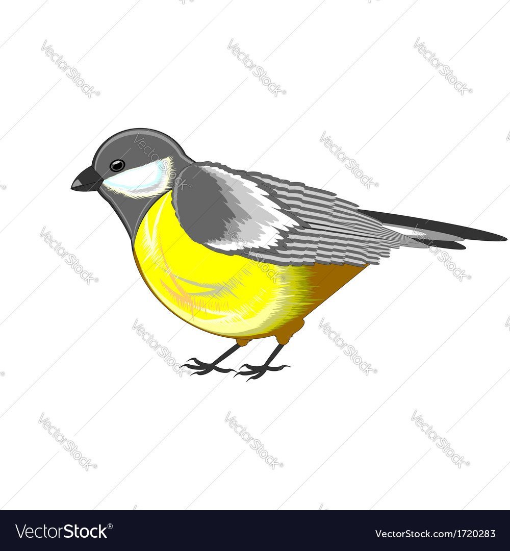 Синичка раскраска для детей цветная