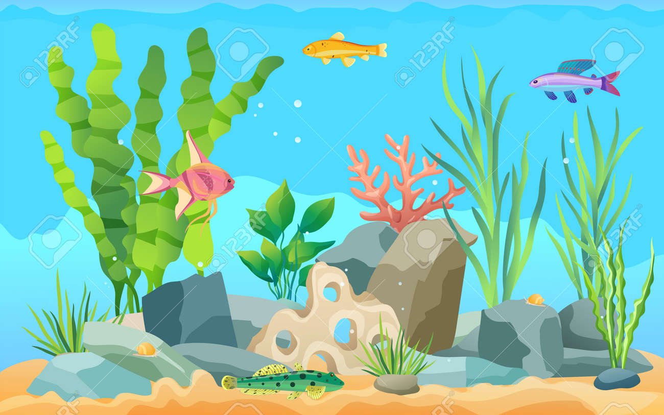 Аквариум с камушками и водорослями и рыбками