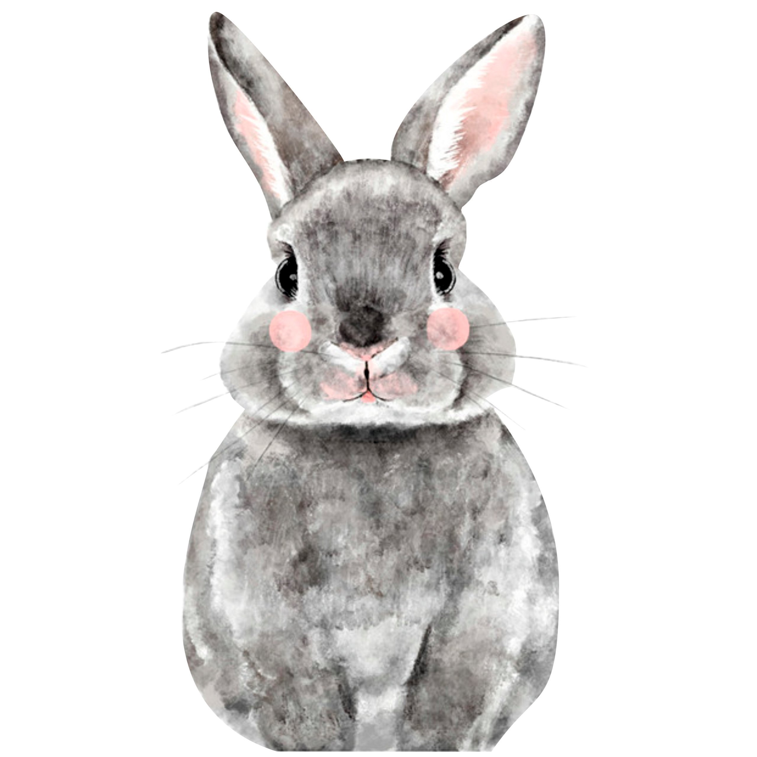 Портрет зайчика. Кролик рисунок. Постер кролик. Стильный заяц. Заяц рисунок.