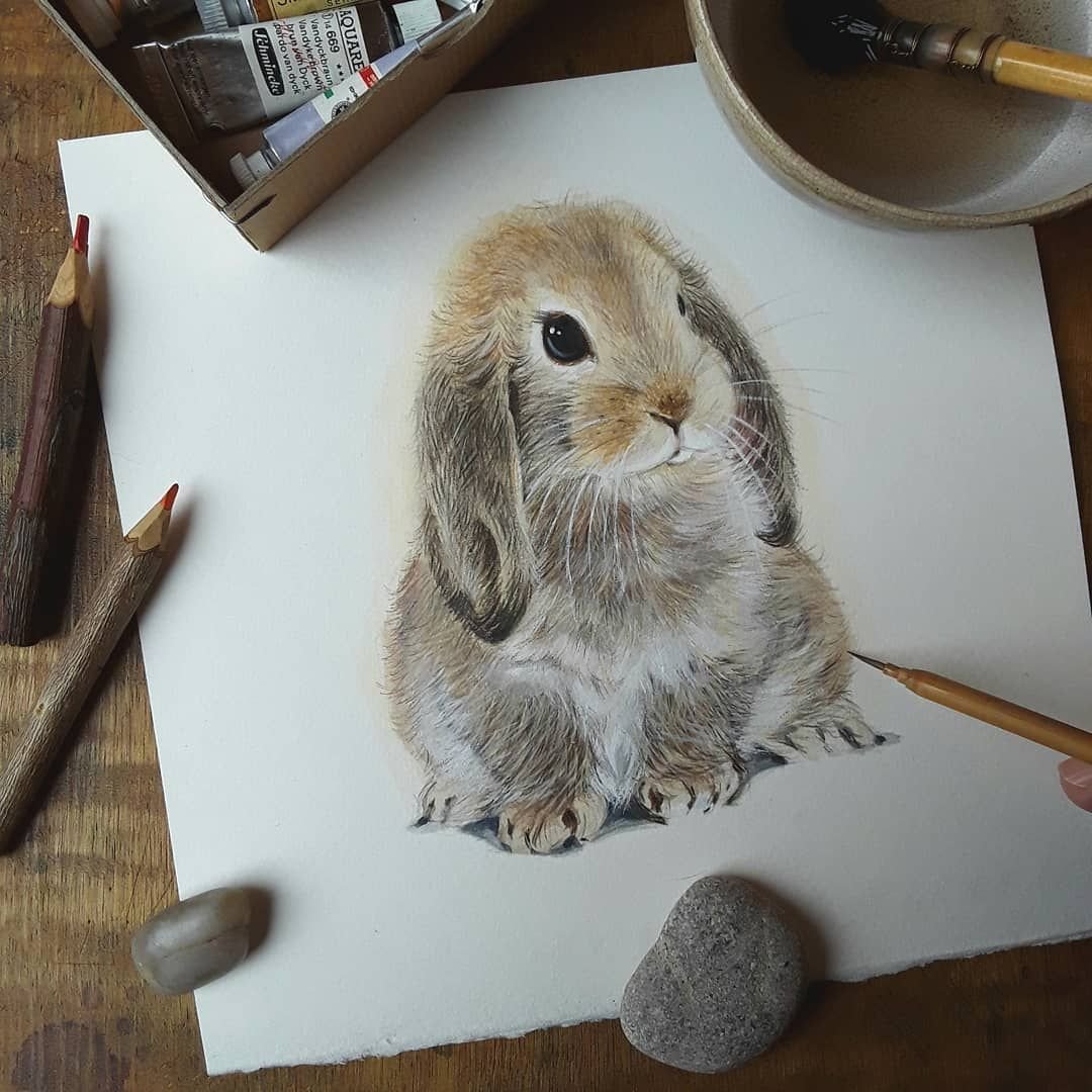 Рисунок кролик серый