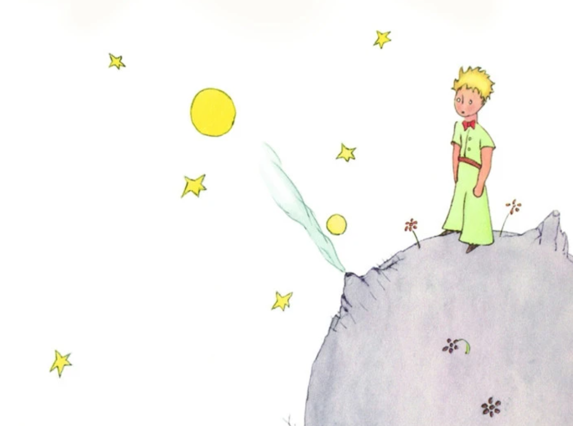 Маленький принц Лис и роза