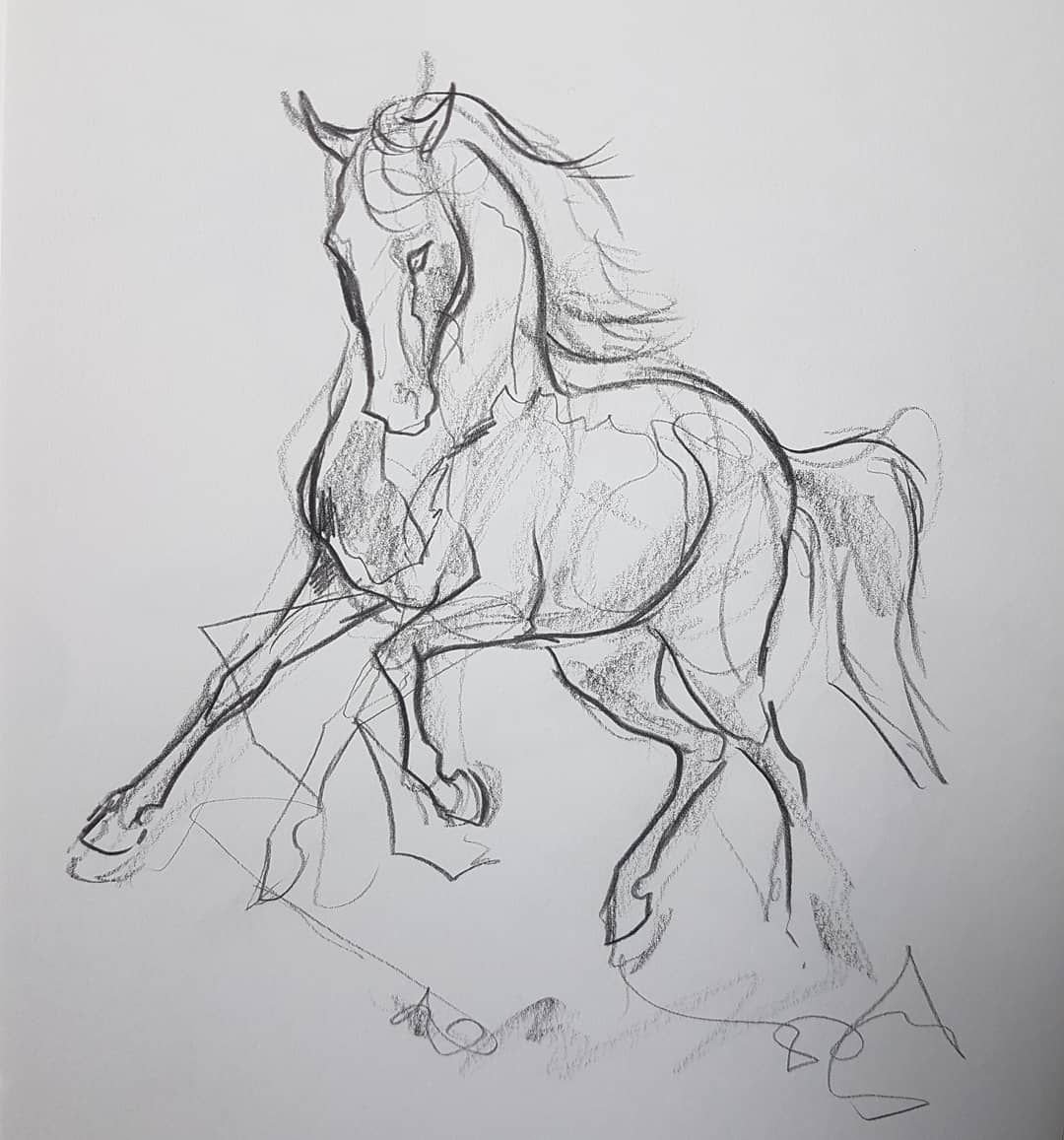 Мини зарисовка лошади