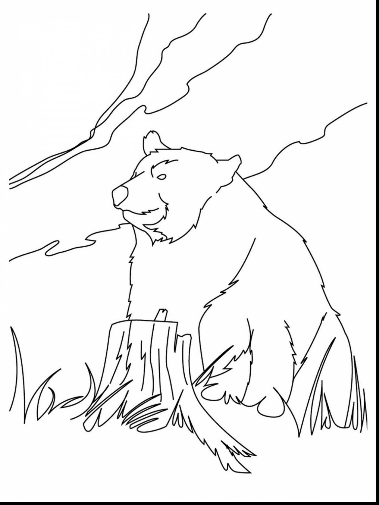 Медведи раскраска игра. Медведь музыкант Бианки. Медведь раскраска. Медведь раскраска для детей. Медведь рисунок.