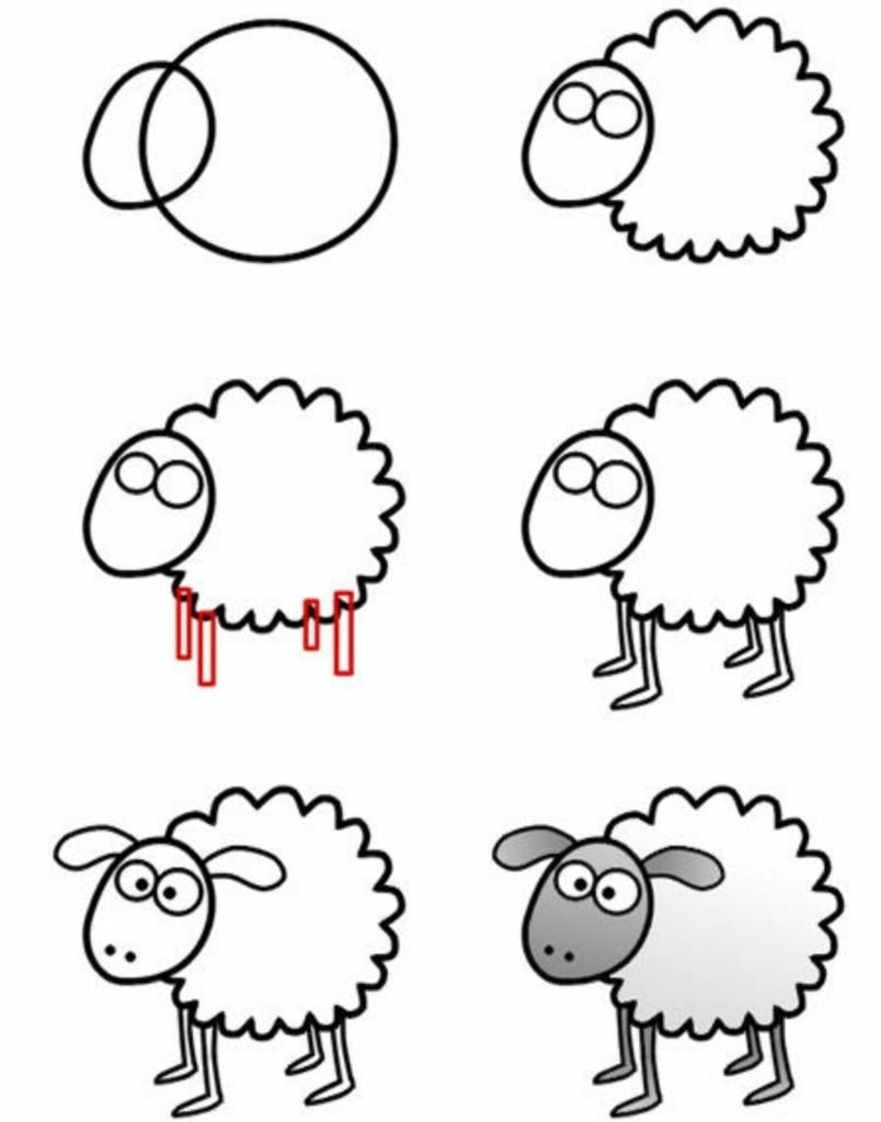 Обучающие рисунки