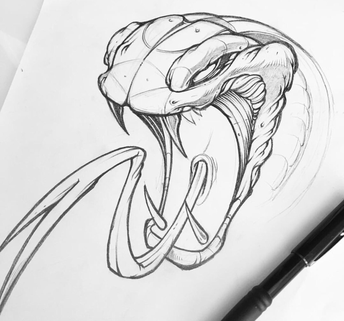 Змеи для срисовки милые