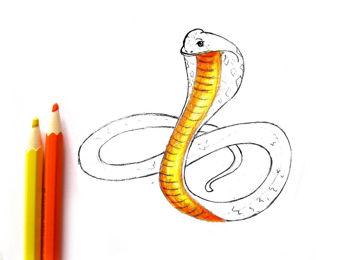 Уж простой рисунок