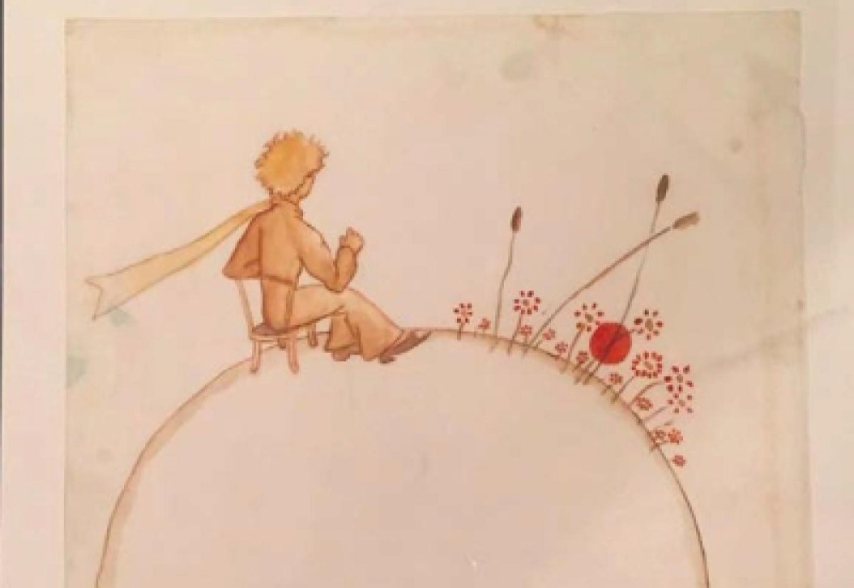 Маленький принц иллюстрации автора роза