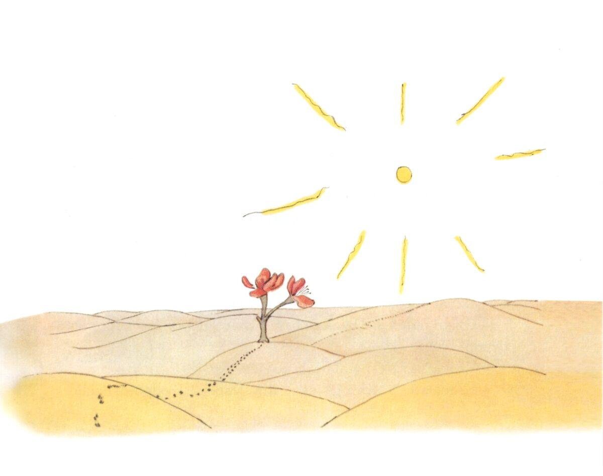 Маленький принц в пустыне